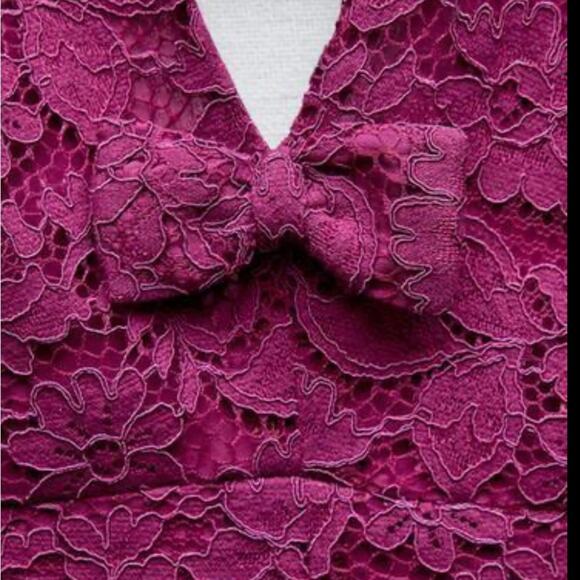 ZARA Fuchsia Short Lace Pinafore Dress - Picture 5 of 5